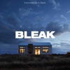 Bleak - Single