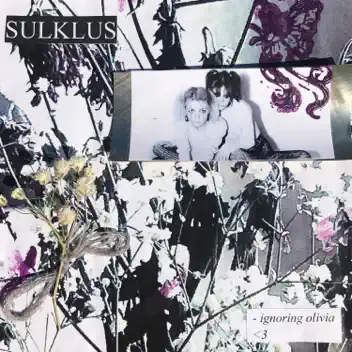 SULKLUS album cover