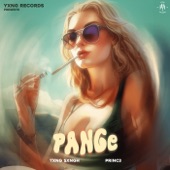 Pange artwork