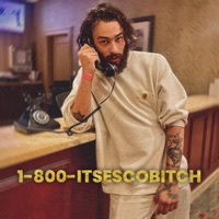 1-800 (feat. Edubz) - Single - Vyb Esco