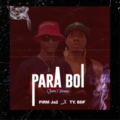 Para boi (jatto) (feat. Ty.BDF) [rmx] - Single