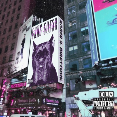 Can€ Cor$o (feat. Quizzical Guille & Pushero) - Single