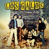 Los Galos - Un Minuto De Amor