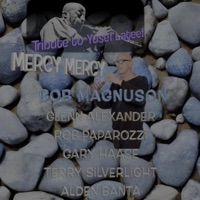 Mercy Mercy - Single - Bob Magnuson