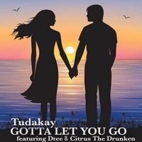 Gotta Let You Go (feat. Dtee) - Single