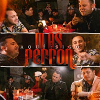 Aquí Sigo Más Perrón - Single - Grupo Delta Norteño & Greeg Mora