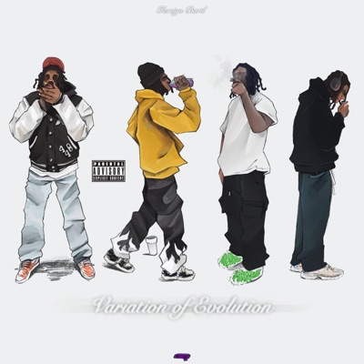 Variation of Evolution