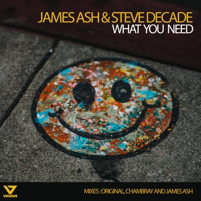 What You Need - Single