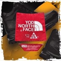 Northface With the ACGs (feat. Rome Streetz) - Single - Your Old Droog