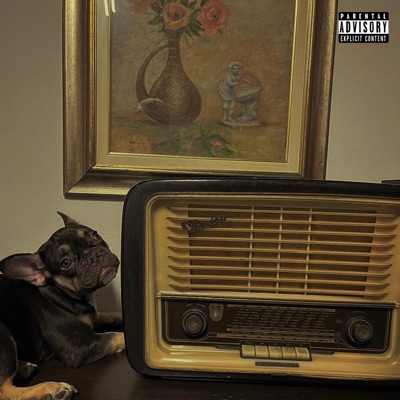 STUPIDO PEZZO DA RADIO - Single