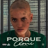 Porque Ami - Single - Onguito Wa