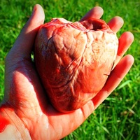 Catchingfeelings - Single - DWARDO