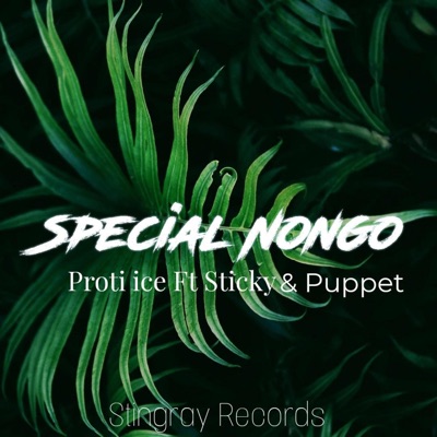 SPECIAL NONGO (feat. Sticky & Puppet) - Single