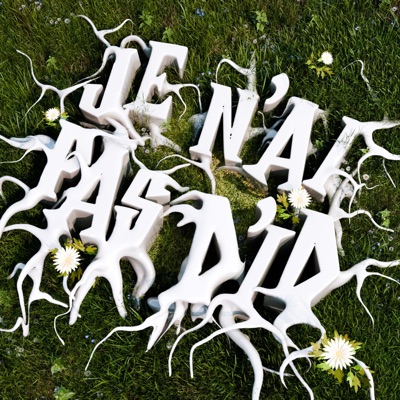 JE N'AI PAS D'ID - Single