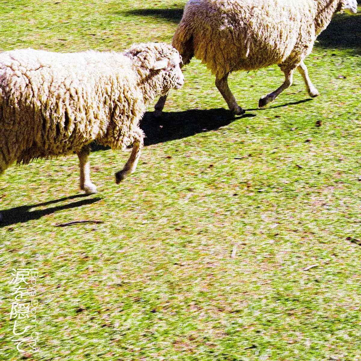 Cody・Lee – Boys Don’t Cry – Single (2023) [iTunes Plus AAC M4A]-新房子