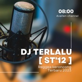 DJ Terlalu artwork