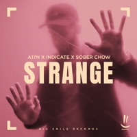 Strange - Single - A17N, Indicate & Sober Chow