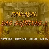 PANCADÃO DAS SOLTEIRAS 2 (feat. PANCADÃO DAS SOLTEIRAS & JD MC) - Single - Silva MC, NETO DJ & MC 3L