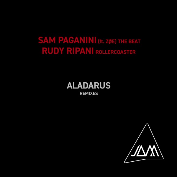 The Beat / Rollercoaster (Remixes) - Single