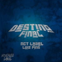 Destino Final - Single - Luiz Pinn & nct label