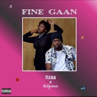 Fine Gaan (feat. Tizaa) - Single - Dolpson