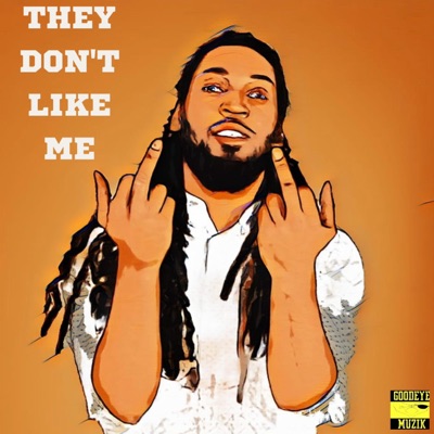 They don't like me (feat. Lucky 13 & Owen Akrey beats) - Single
