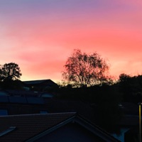 Erinnerung - Single - Shir0