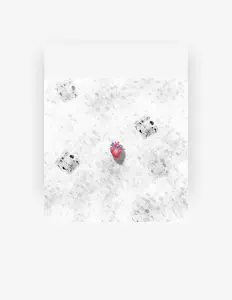 Listen to MVWASHI1I, watch music videos, read bio, see tour dates & more!