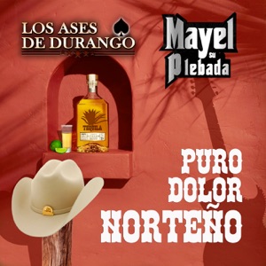 Puro Dolor Norteño (En Vivo) [Norteño]