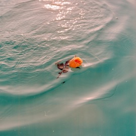 Close Your Eyes Barrett Marshall