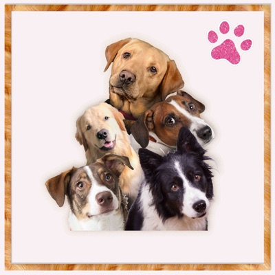 Ultimatums Are Meaningless to Dogs - Single