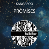 Promises (Long Edit)