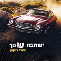 ישתבח שמך - Single - יואלי דיקמן