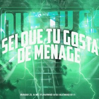 Sei Que Tu Gosta de Ménage - Single - Iraqui Zl, MC Flavinho & DJ Alemão 011