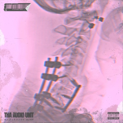 Through the Wire (Tha Audio Unit Story)