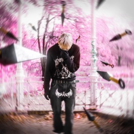 etwas dabei SII2 & ArniTheSavage