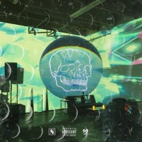 W.I.P. - rob regis & 90culture