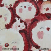 Cosmo Sheldrake - Old Ocean (Edit)