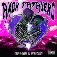 Amor Pasajero (feat. Ghan Neela) - Single - Alex Mosso
