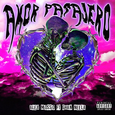 Amor Pasajero (feat. Ghan Neela) - Single