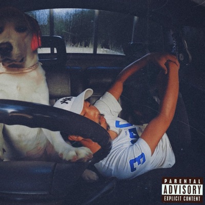 UnderDogs (feat. Nooby Mafiso & Big Meech) - Single