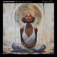 Metaphysical Zen - Single - The Meditationist, Lily Havenmore & Mente Pacifica
