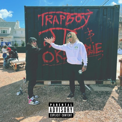 What You Want (feat. Trapboy JT & Ok Charlie) - Single