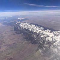 What You Said (feat. Endri) - Single - Rosey