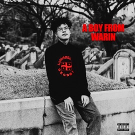 Thug Mode (feat. VEMLYIE) WARIN B