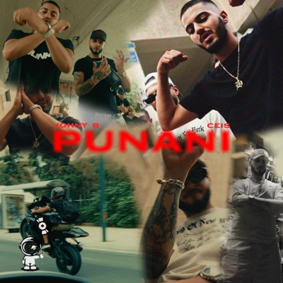 Punani - Single