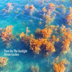 Ocean Garden