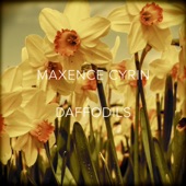 Daffodils artwork