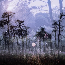 В голове 17 SEVENTEEN