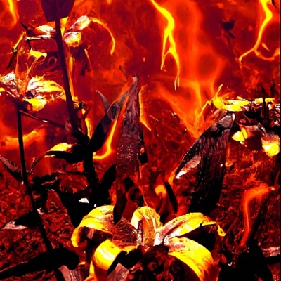 Stay In Hell - Single